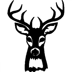 animals, Deer,antlers,buck | Clipart Panda - Free Clipart Images
