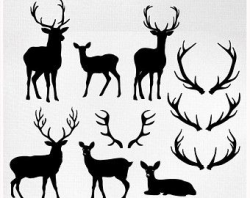 Deer Clip Art Silhouettes & Outlines, Buck and Doe Party ...