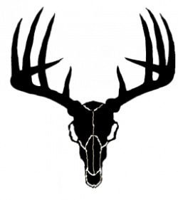 Buck Skull Decal | Clipart Panda - Free Clipart Images