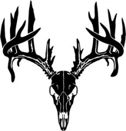 Buck Antlers Skull Decal | Clipart Panda - Free Clipart Images