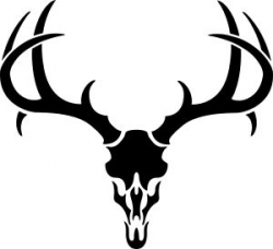 Buck Antlers Skull Decal | Clipart Panda - Free Clipart Images
