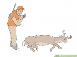 How to Go Deer Hunting (with Pictures) - wikiHow