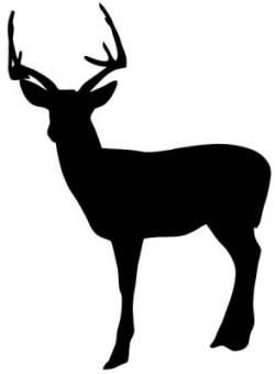 Buck Clipart Deer Silhouette #2646423