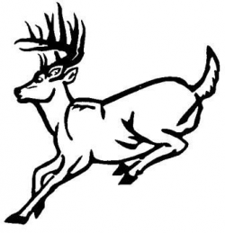 Whitetail Deer Outline Drawings | Deer Running Outline Wall ...