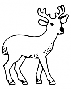Deer clipart easy - Pencil and in color deer clipart easy