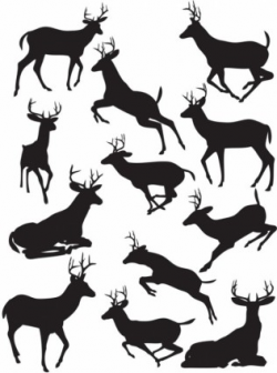 Free Elk Head Silhouette, Download Free Clip Art, Free Clip Art on ...