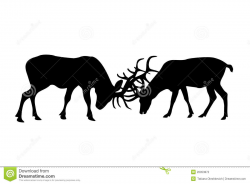 Drawn elk fighting - Pencil and in color drawn elk fighting