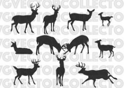 A set of deer silhouettes including fawn doe bucks and stags in ...