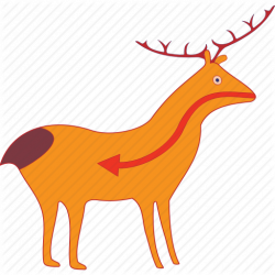 Animal, antelope, art, buck, clipart, deer, mammals icon | Icon ...