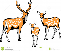 28+ Collection of Deer Family Clipart | High quality, free cliparts ...