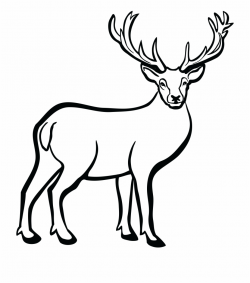 Deer Hunting Clipart - Buck Deer Clip Art - deer head ...