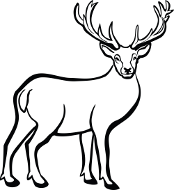 Vibrant Idea Buck Clipart Of A Deer - cilpart