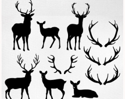 Hunting clipart deer logo - Pencil and in color hunting clipart deer ...