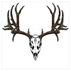 deer skull silhouette mule deer skull outline google search mounts ...
