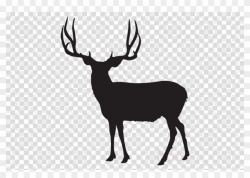 Download Mule Deer Silhouette Clipart White-tailed ...