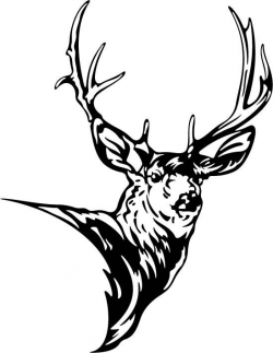 silhouette - Google zoeken | silhouette | Pinterest | Mule deer ...