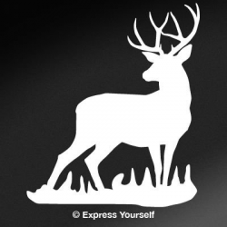 Amazon.com: Mule Deer Buck (White - Reverse Image - Small) Decal ...