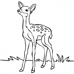 28+ Collection of Deer Clipart Black And White | High quality, free ...