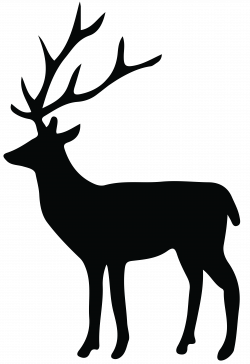 Reindeer Silhouette White-tailed deer Clip art - Deer ...