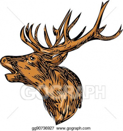 EPS Vector - Red deer stag head roaring drawing. Stock Clipart ...