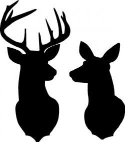 Buck and Doe Deer silhouette Stencil overall size approx 16 across x ...