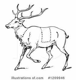 Deer Clipart #1209946 - Illustration by Picsburg