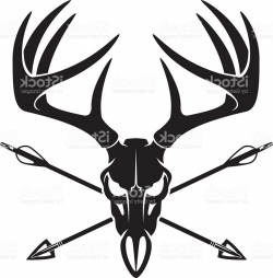 Whitetail Deer Buck Skull With Crossing Hunting Arrows Gm | CreateMePink