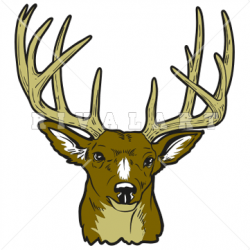 Free Buck Cliparts, Download Free Clip Art, Free Clip Art on Clipart ...