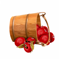 Bucket with Apples Transparent Clipart | AppleCart | Pinterest ...