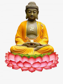 Sakyamuni, Bodhi Buddha, Like Buddha, Meditation PNG Image and ...