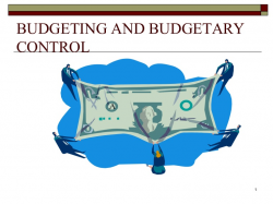 Budgeting and budgetary control