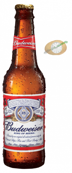 Budweiser beer bottle png » PNG Image