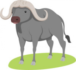 Free Buffalo Clipart - Clip Art Pictures - Graphics - Illustrations