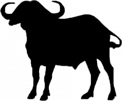 Buffalo Silhouette at GetDrawings.com | Free for personal use ...