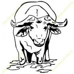 Image result for water buffalo clipart | big 5 | Pinterest | Water ...