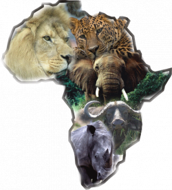 Top Tourist Attractions in Tanzania | Rhinos, Cheetahs and Buffalo