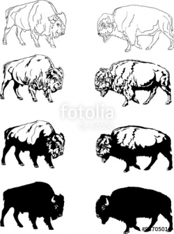 Bison Clipart Buffalo Head Free collection | Download and share ...