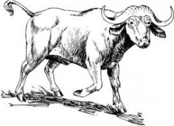 Buffalo clip art free vector vectors - Clip Art Library