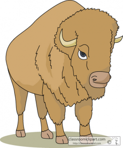 Animal Clipart - Buffalo Clipart - bison_animal_clipart_1713 ...