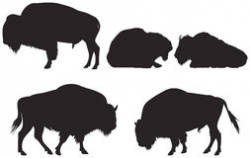 Cape Buffalo Silhouette at GetDrawings.com | Free for personal use ...