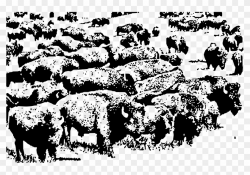 Clipart - Buffalo Herd - Buffalo Herd Png, Transparent Png ...