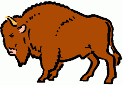 Buffalo herd clipart