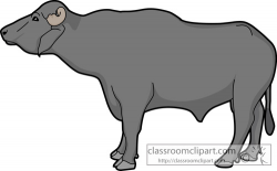 Animal Clipart - Buffalo Clipart - buffalo_male_630 - Classroom Clipart