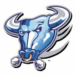 Buffalo Bulls Logo PNG Transparent & SVG Vector - Freebie Supply