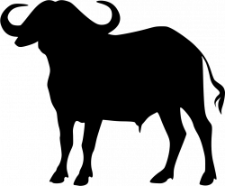 Cape Buffalo Svg Png Icon Free Download (#438487) - OnlineWebFonts.COM