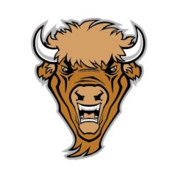 T Shirt Clip Art for Buffalo - ThatShirt