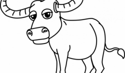 Buffalo Cartoon Drawing at GetDrawings.com | Free for personal use ...