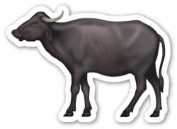 Water Buffalo | Water buffalo, Emoji stickers and Emojis