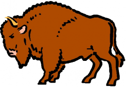 Bison Clipart Buffalo Horn #2484725