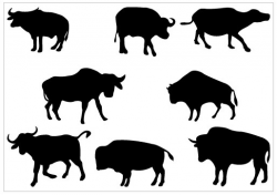 Free Buffalo Cliparts Black, Download Free Clip Art, Free Clip Art ...